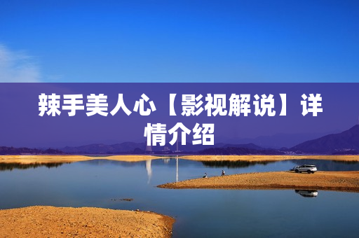 辣手美人心【影视解说】详情介绍