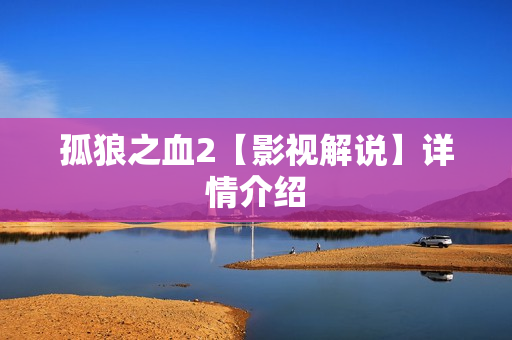 孤狼之血2【影视解说】详情介绍