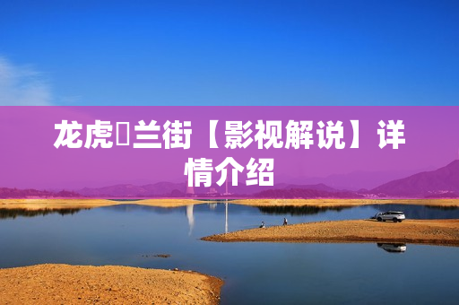 龙虎砵兰街【影视解说】详情介绍
