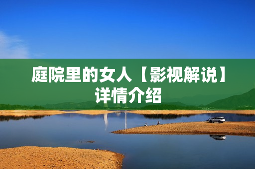 庭院里的女人【影视解说】详情介绍