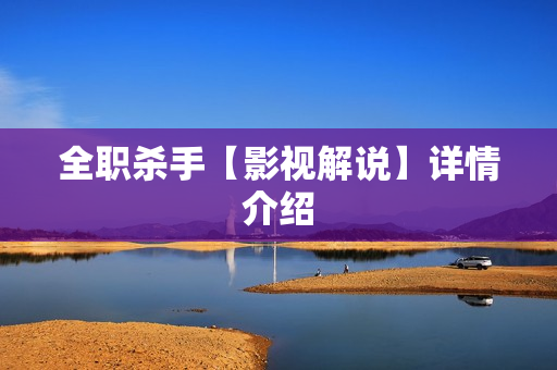 全职杀手【影视解说】详情介绍