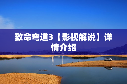 致命弯道3【影视解说】详情介绍