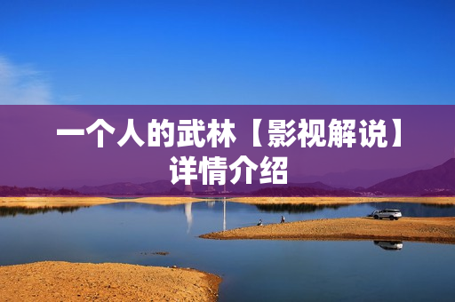一个人的武林【影视解说】详情介绍