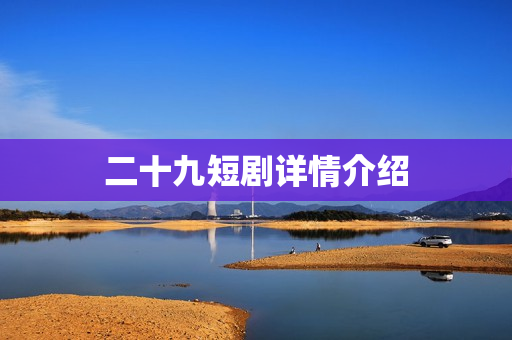 二十九短剧详情介绍