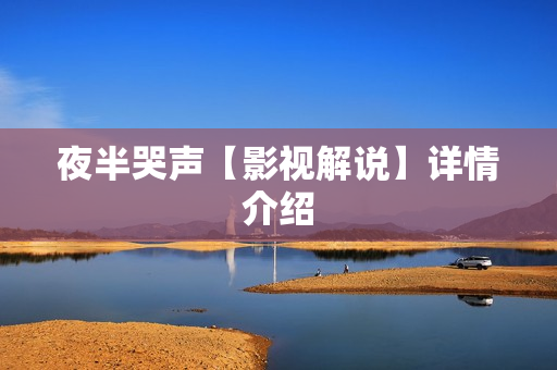 夜半哭声【影视解说】详情介绍