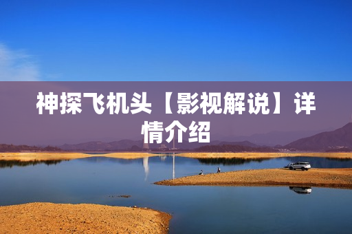 神探飞机头【影视解说】详情介绍