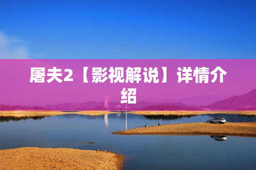 屠夫2【影视解说】详情介绍