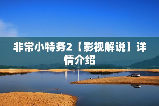 非常小特务2【影视解说】详情介绍