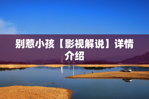 别惹小孩【影视解说】详情介绍