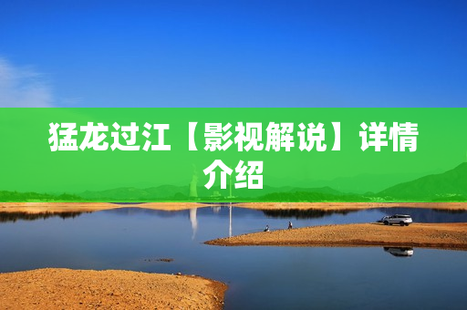 猛龙过江【影视解说】详情介绍