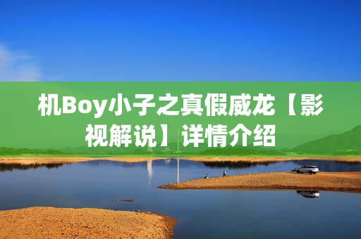 机Boy小子之真假威龙【影视解说】详情介绍