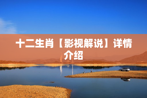 十二生肖【影视解说】详情介绍