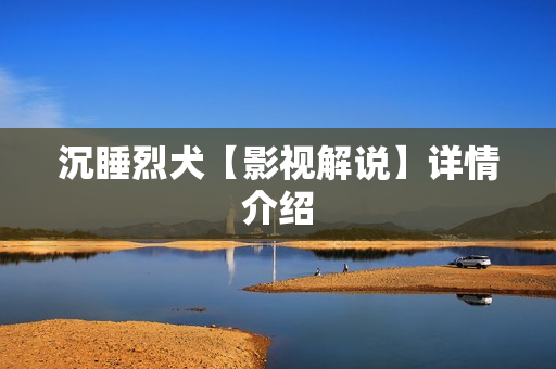 沉睡烈犬【影视解说】详情介绍