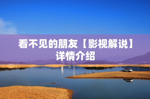 看不见的朋友【影视解说】详情介绍