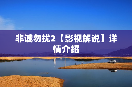 非诚勿扰2【影视解说】详情介绍