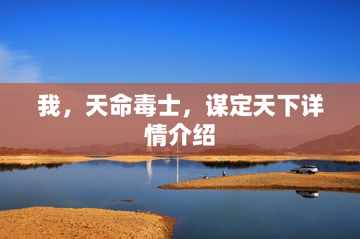 我，天命毒士，谋定天下详情介绍