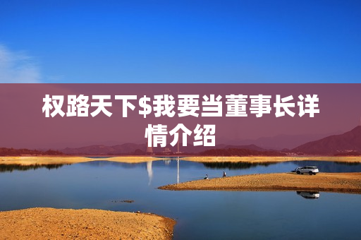 权路天下$我要当董事长详情介绍