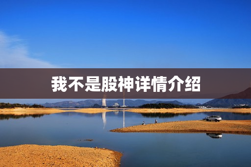 我不是股神详情介绍