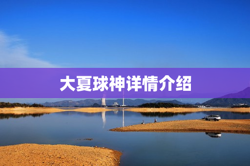 大夏球神详情介绍