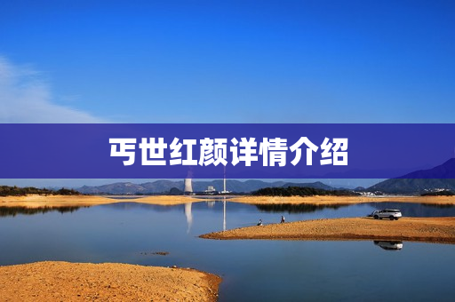 丐世红颜详情介绍