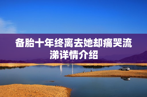 备胎十年终离去她却痛哭流涕详情介绍