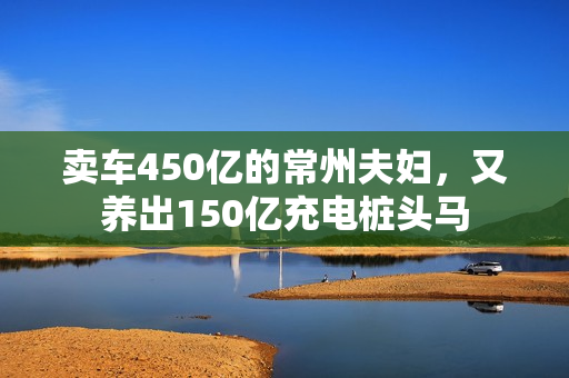 卖车450亿的常州夫妇，又养出150亿充电桩头马