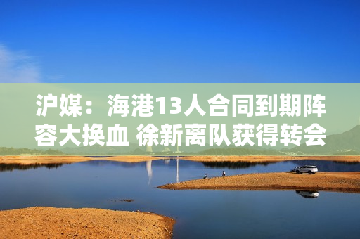 沪媒：海港13人合同到期阵容大换血 徐新离队获得转会费