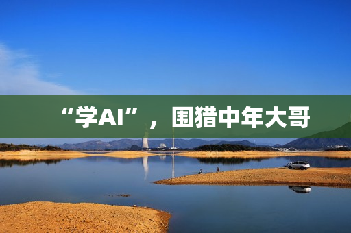 “学AI”，围猎中年大哥