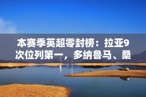 本赛季英超零封榜：拉亚9次位列第一，多纳鲁马、桑切斯8次