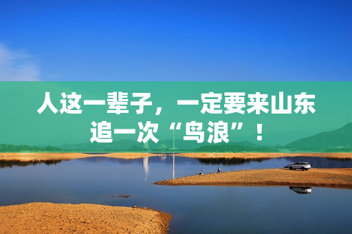 人这一辈子，一定要来山东追一次“鸟浪”！