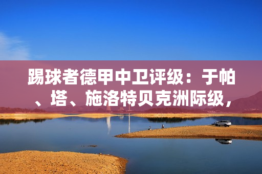 踢球者德甲中卫评级：于帕、塔、施洛特贝克洲际级，金玟哉国脚级