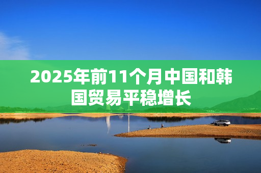 2025年前11个月中国和韩国贸易平稳增长
