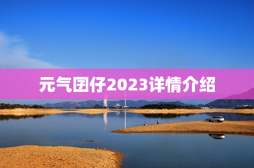 元气囝仔2023详情介绍