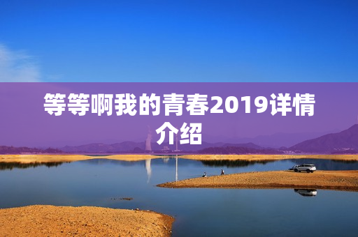 等等啊我的青春2019详情介绍