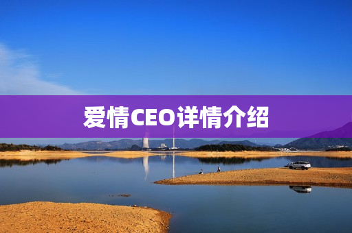 爱情CEO详情介绍