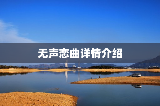 无声恋曲详情介绍