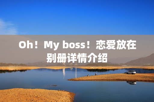 Oh！My boss！恋爱放在别册详情介绍
