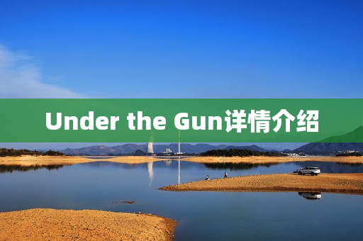 Under the Gun详情介绍
