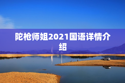 陀枪师姐2021国语详情介绍