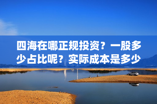 四海在哪正规投资？一股多少占比呢？实际成本是多少？(四海在哪正规投资的)