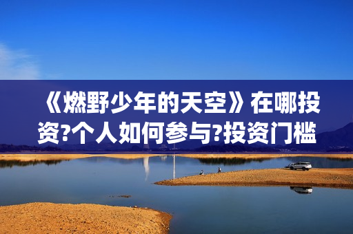 《燃野少年的天空》在哪投资?个人如何参与?投资门槛多少?(《燃野少年的天空》续集)