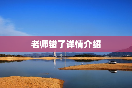 老师错了详情介绍