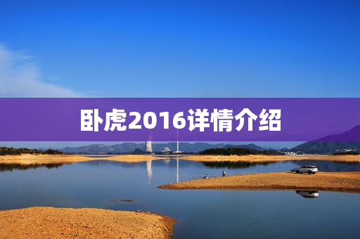 卧虎2016详情介绍
