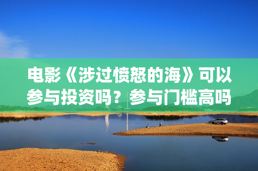电影《涉过愤怒的海》可以参与投资吗？参与门槛高吗？(涉过愤怒的海小说在线阅读)