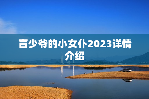 盲少爷的小女仆2023详情介绍