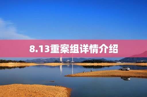 8.13重案组详情介绍
