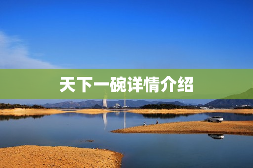 天下一碗详情介绍