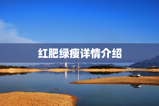 红肥绿瘦详情介绍