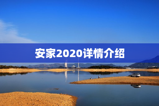 安家2020详情介绍