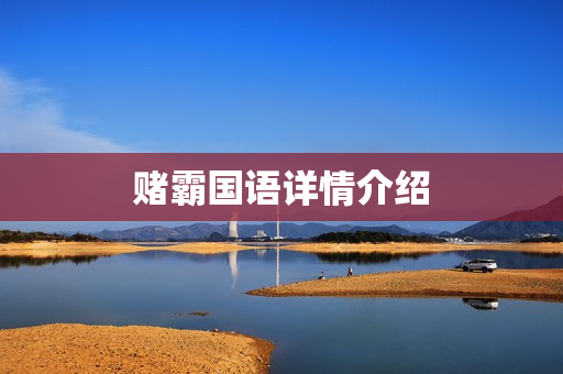 赌霸国语详情介绍